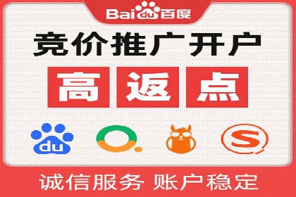 百度竞价赚钱技巧：案例分析
